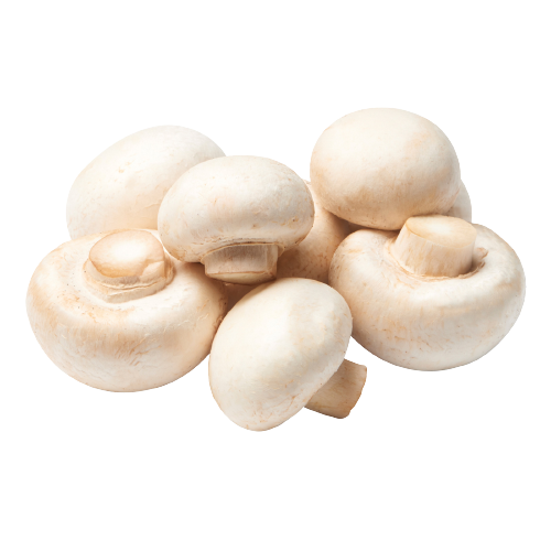 best organic mushroom supplier